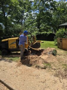 Read more about the article Stump Removal in Branson, MO: What Homeowners Must Know in 2025!