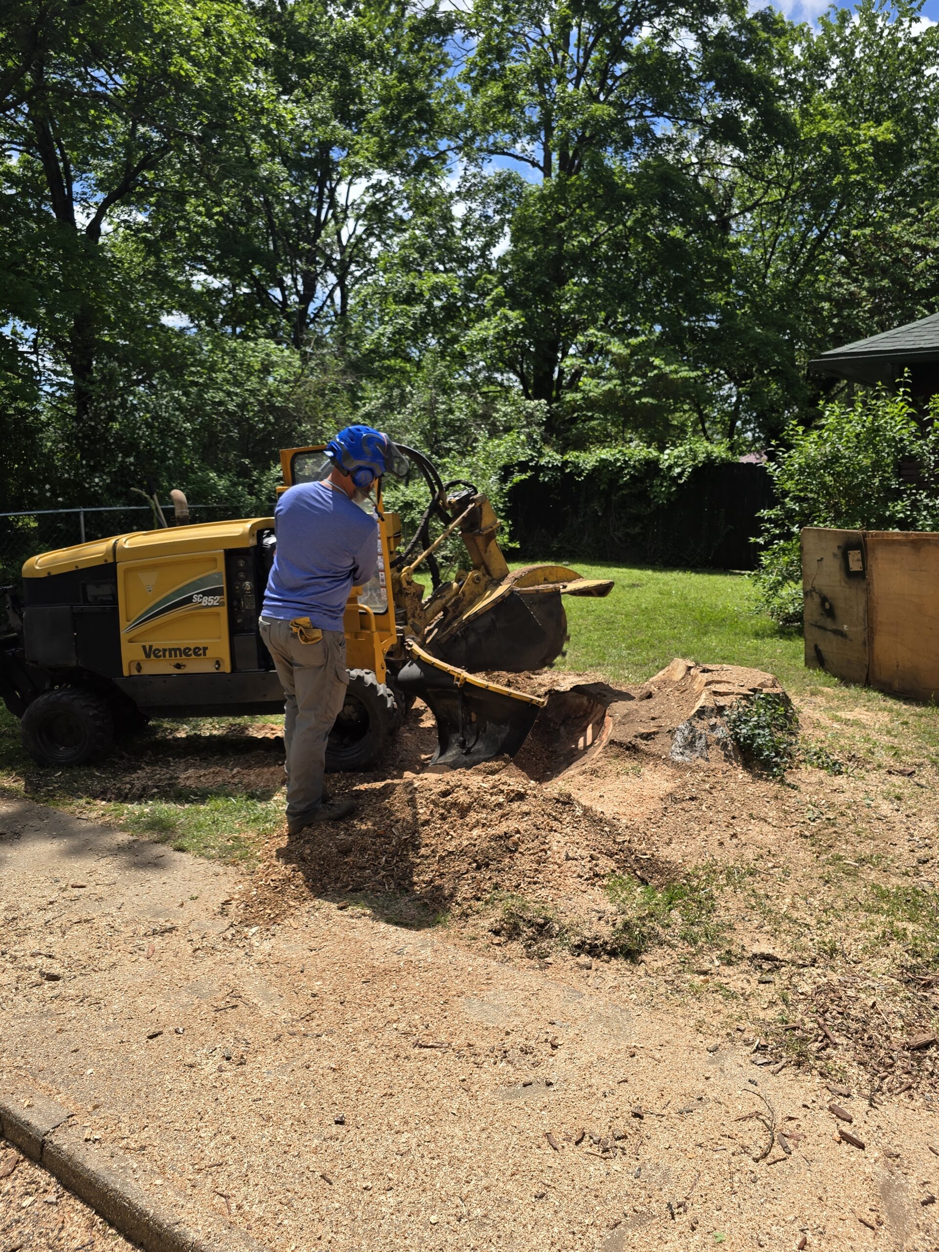 Read more about the article Stump Removal in Branson, MO: What Homeowners Must Know in 2025!