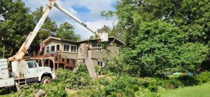 Read more about the article 7 Reasons to Trust Professional Branson Tree Removal Services for a Safer Landscape