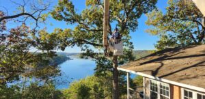 Read more about the article Why Tree Removal Services in Branson are Essential to Protect Your Property and Landscape?