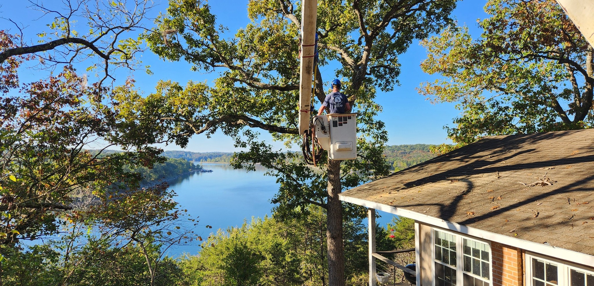 You are currently viewing Why Tree Removal Services in Branson are Essential to Protect Your Property and Landscape?
