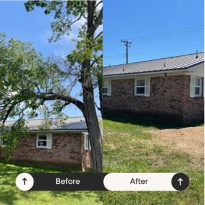 Emergency Tree Removal in Branson
